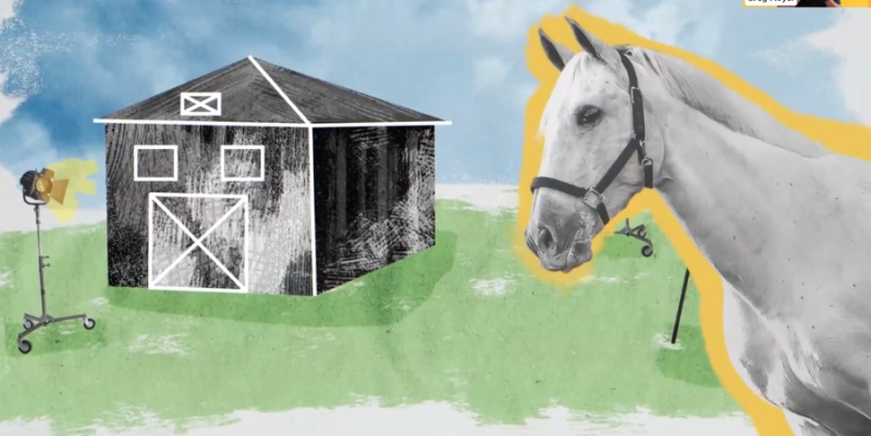 horse stable film
